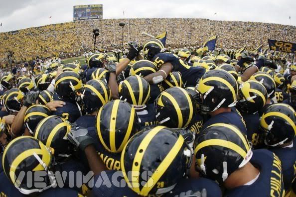 MichiganWolverines.jpg