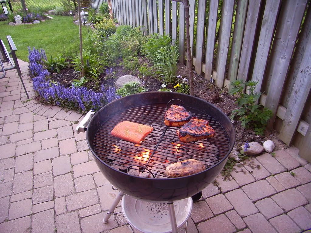 PIC00451.jpg