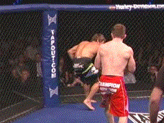 Comp1_1.gif