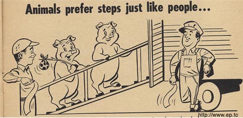animalsteps0219.jpg