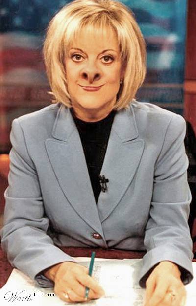 nancypigrace.jpg