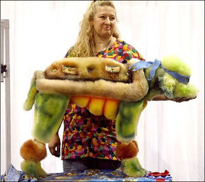 aaadogfromtheSuperGroomcompetition.jpg