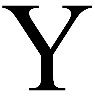 Y.png