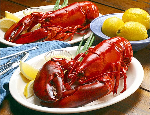 lobster1.jpg