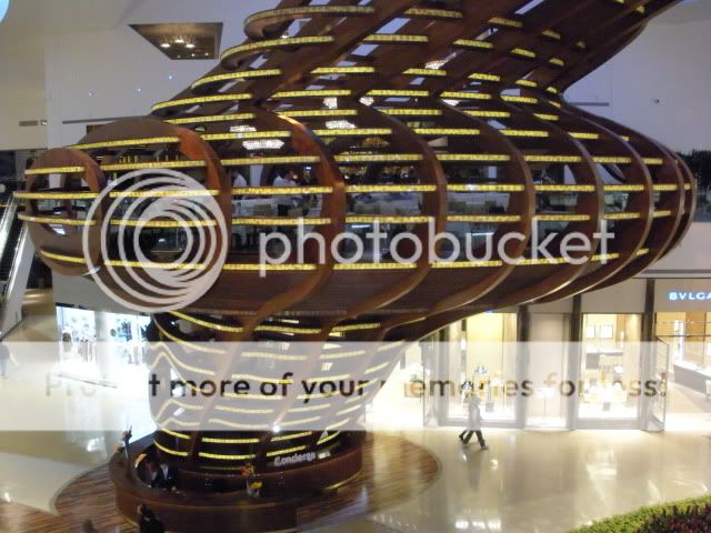 DSCN2555.jpg