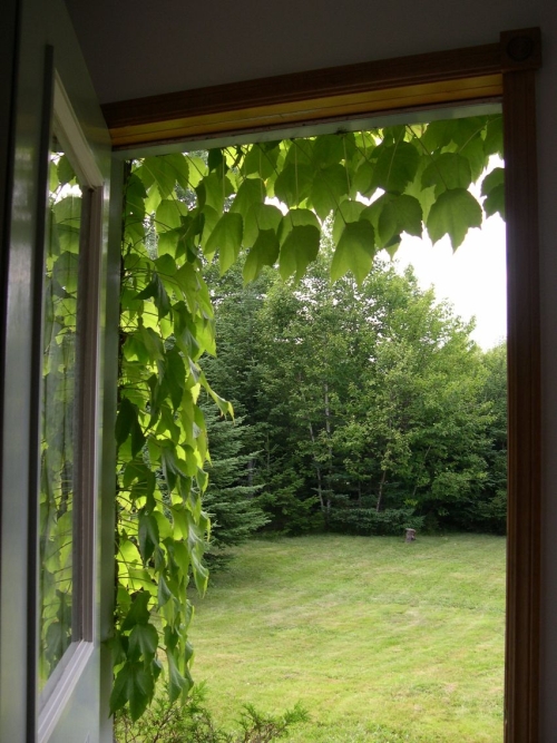 open-door.jpg
