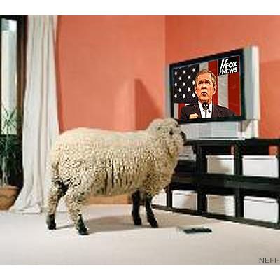 sheeple.jpeg