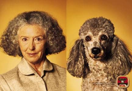 poodle_lady.jpg