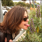 rachaelray2.jpg