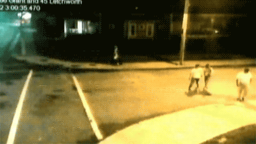 tumblr_m3thfmefA71qf5do9o1_500.gif