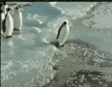 output.gif