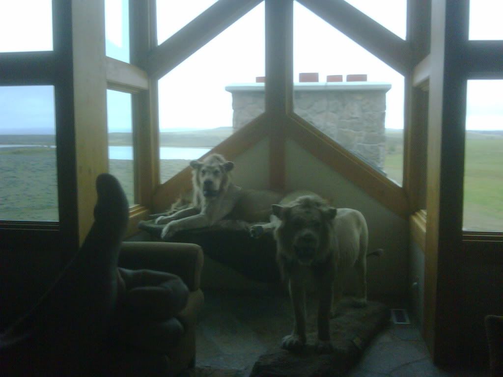IMG01238-20101006-0909.jpg
