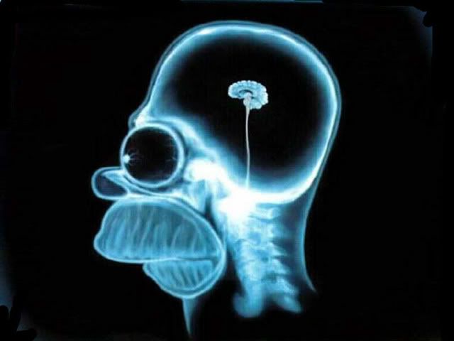 HomerBrain.jpg