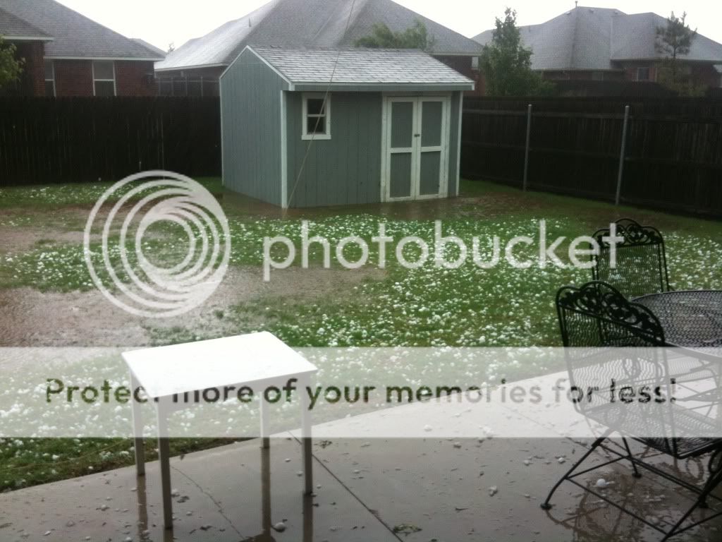 IphonePictures371.jpg