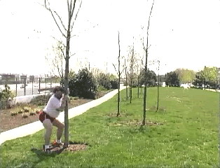 humpers24it.gif