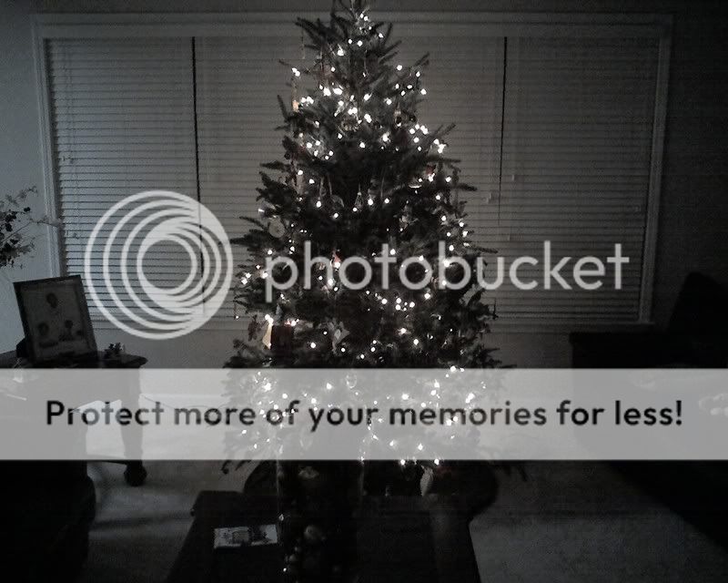 tree2.jpg