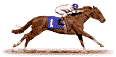 racehorse7.gif
