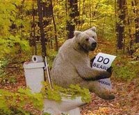 bear-shit-in-woods.jpg