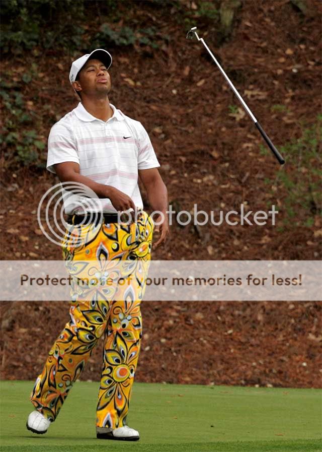 tigerdaly.jpg