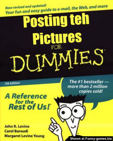 474-pictures-for-dummies.jpg