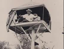 0531_.1949_lupica_if5mqb.png