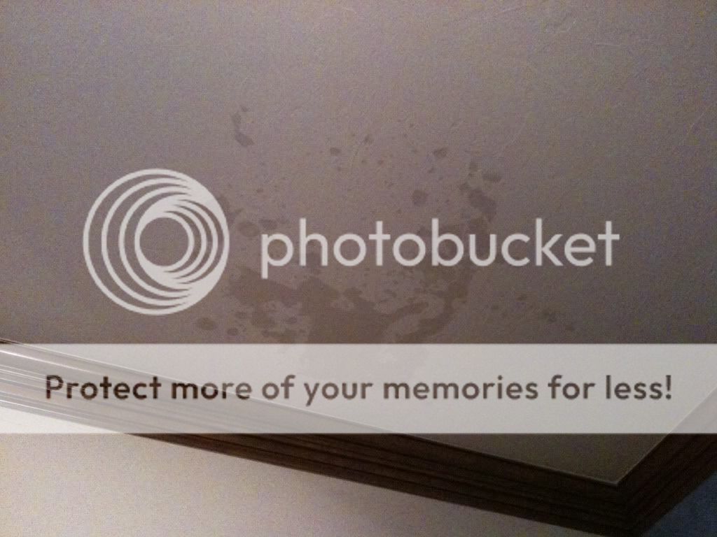 IphonePictures369.jpg