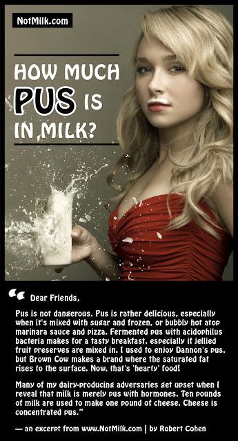 NotMilk_Hayden.jpg