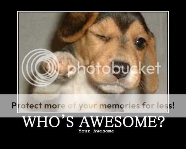 WhosAwesome.jpg