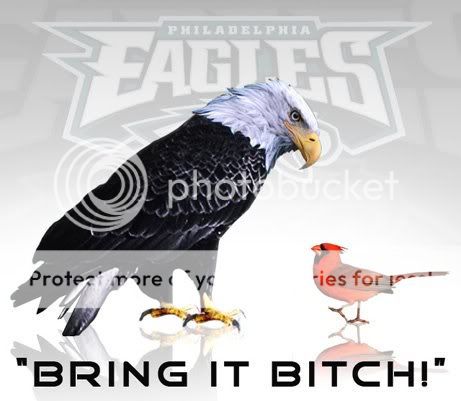 birds.jpg