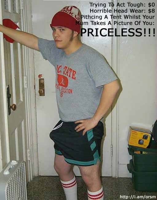 Priceless20-20Erection.jpg