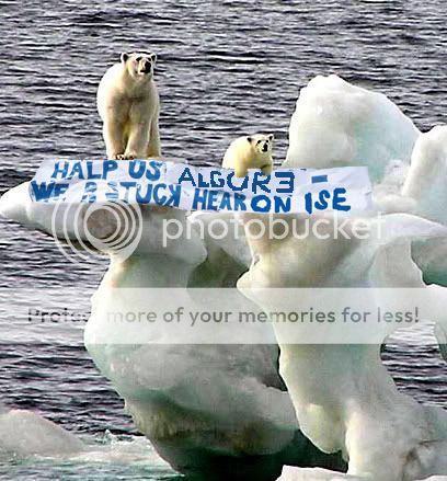 alspolarbears.jpg