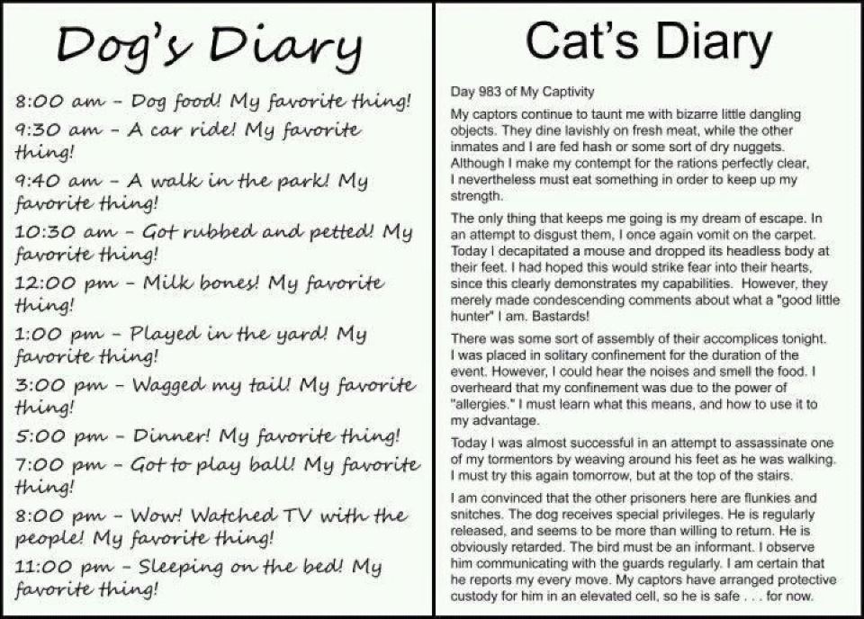 dogs-diary.jpg
