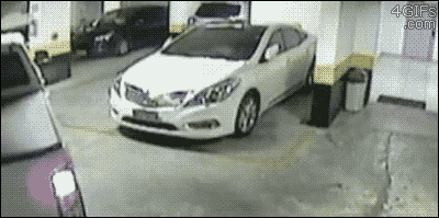 dzxl6Lc.gif