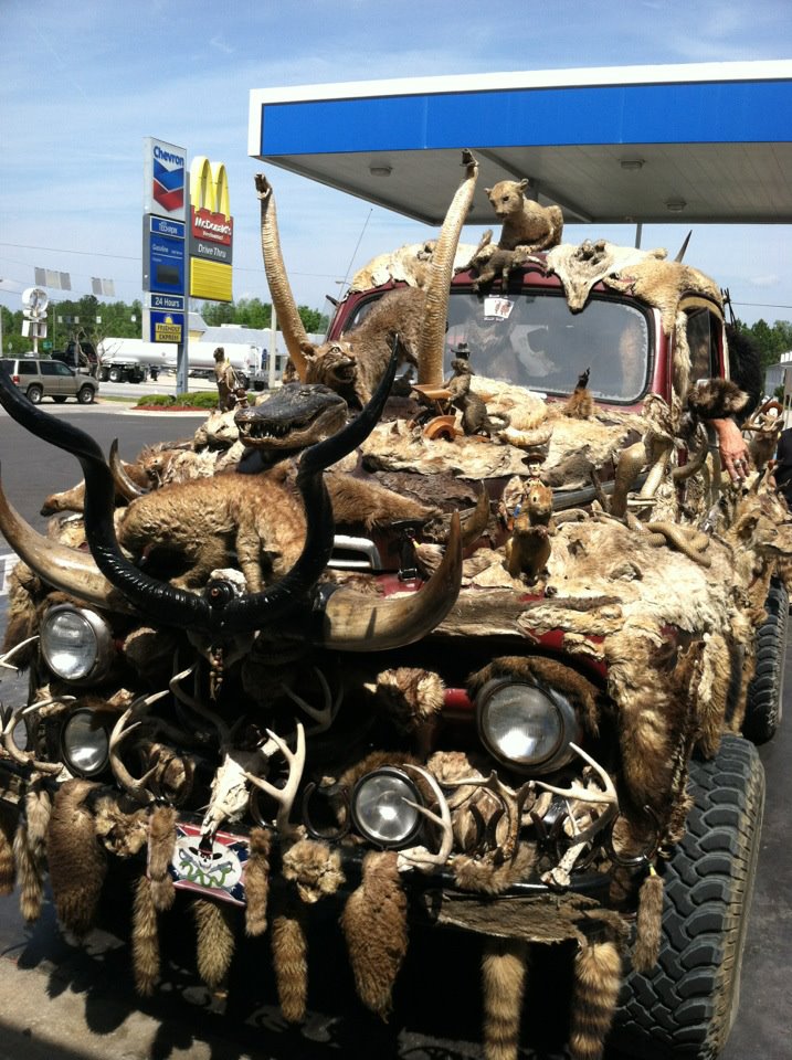 gMv3V.jpg