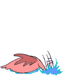 duckfish4.gif