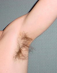 armpit.jpg