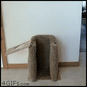 5R6aX.gif