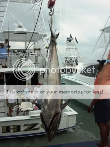 fish3.jpg