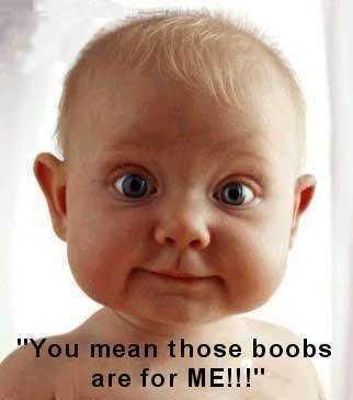 those_boobs_for_me.jpg