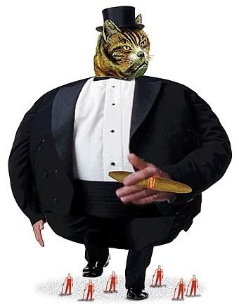 FATCAT.jpg