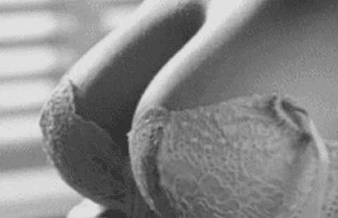 tumblr_m2yeumq68Q1ql4hl8o1_500.gif