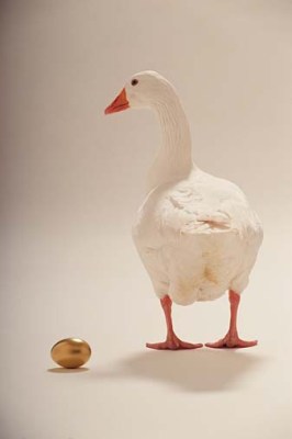 goose-golden-egg.jpg