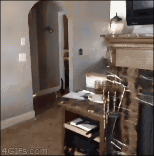 uzEKyNZ.gif