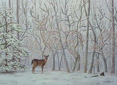 deer.jpg