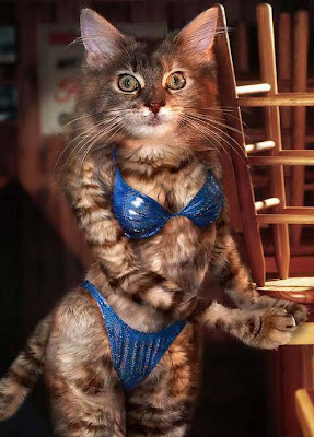 sexypussy.jpg