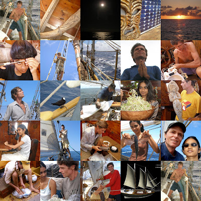 collage8.jpg