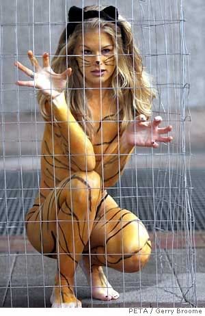 tiger.jpg