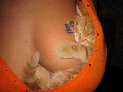 luckyaucatoi7.jpg