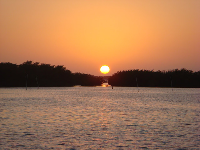 DSC05543.JPG