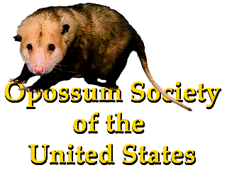 opossum_animated.gif